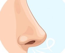 垫鼻尖果怎么样？垫鼻尖手术后的护理工作怎么做？